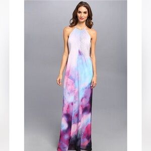 NEW Ted Baker Alexxis Summer At Dusk Print Maxi Dress STUNNING 0-2